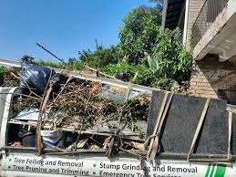 Best Estate Cleanout  in East Lake Orient Park, FL