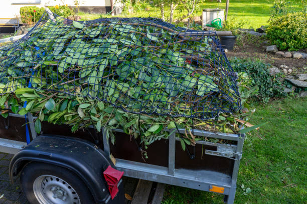 Best Furniture Removal  in East Lake Orient Park, FL